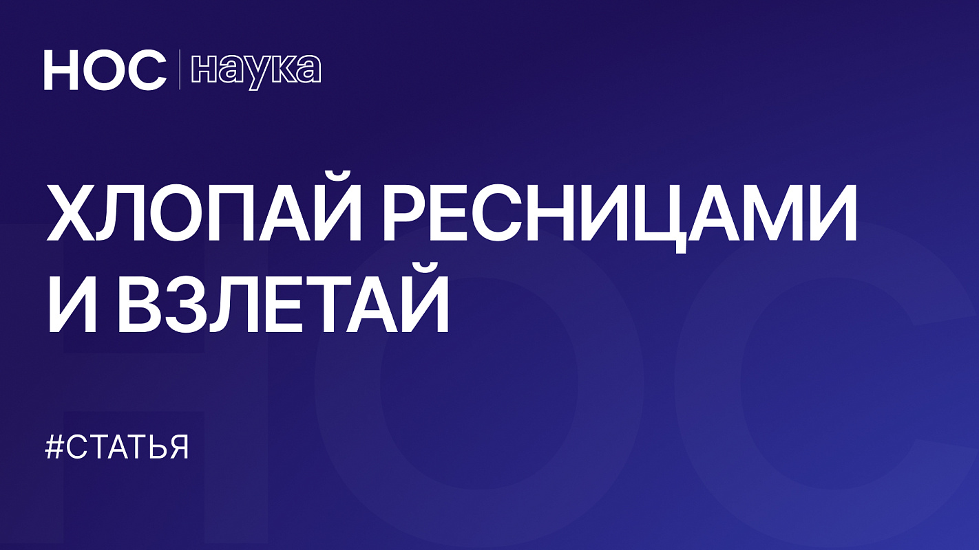 Описание изображения